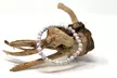 1, 2 ou 4 bracelets en howlite blanche avec 32 pierres - Image 4