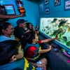 Image 1: 45 Minute Glass Bottom Boat Tour at Redondo Beach with Marine Animals!