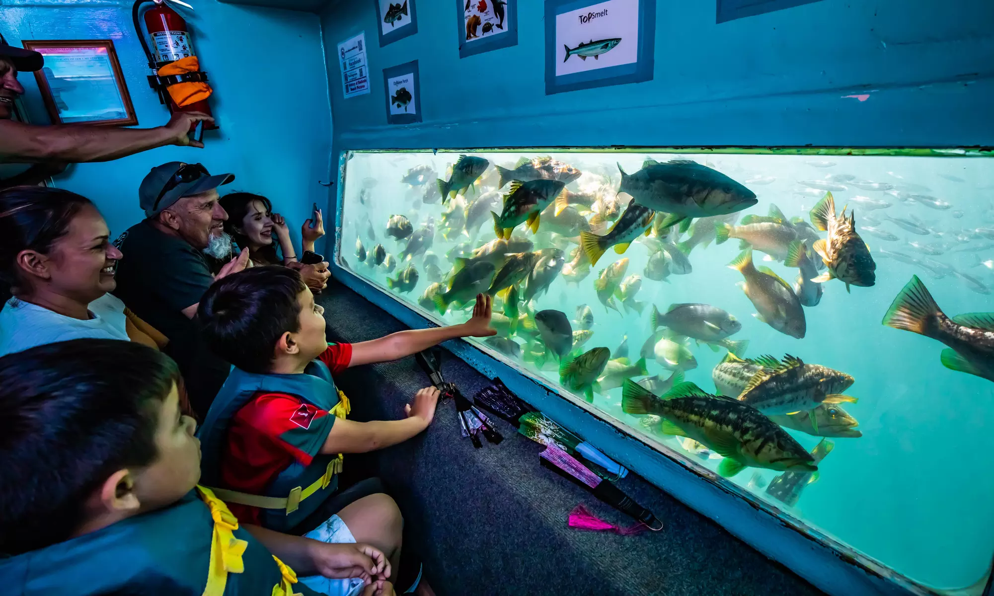 45 Minute Glass Bottom Boat Tour at Redondo Beach with Marine Animals!
