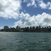 Image 5: 90-Min Entertaining Boat Tour Exploring Mansions and Fisher Island