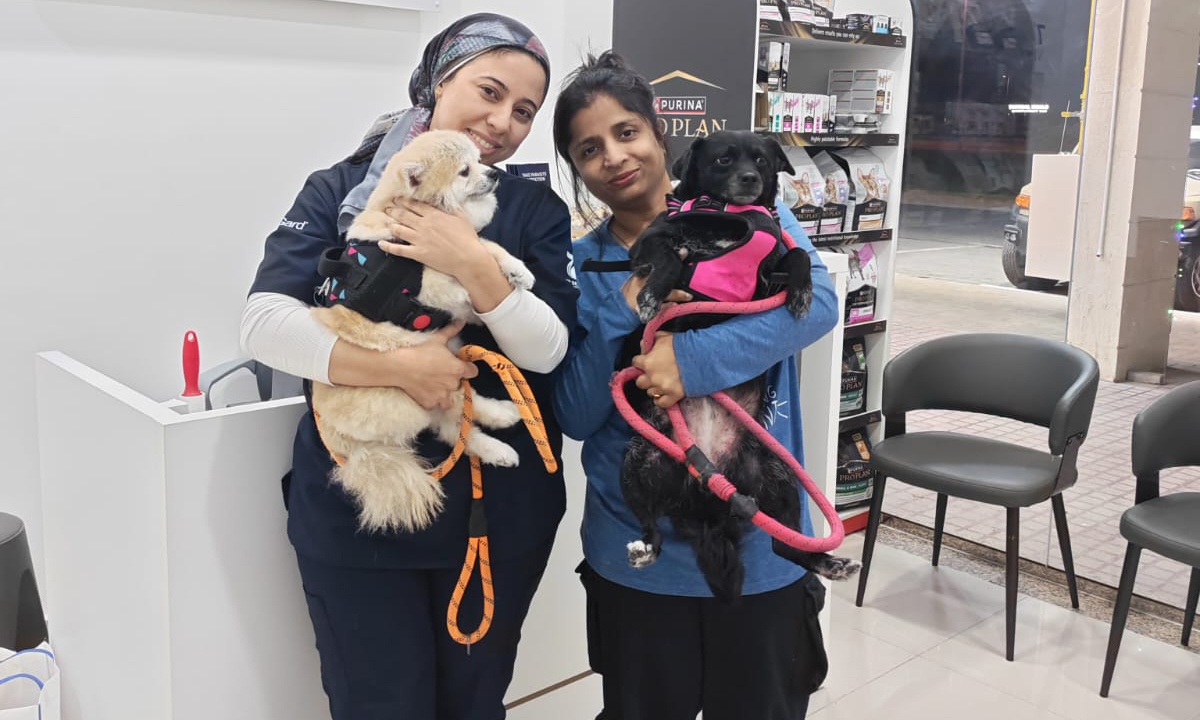 Professional Veterinary Care And Annual Pet Wellness Packages Professional Veterinary Care And Annual Pet Wellness Packages