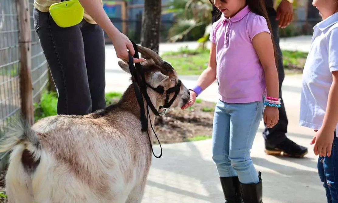 Admission to Houston Aquarium & Animal Adventure plus Arcade Credits!