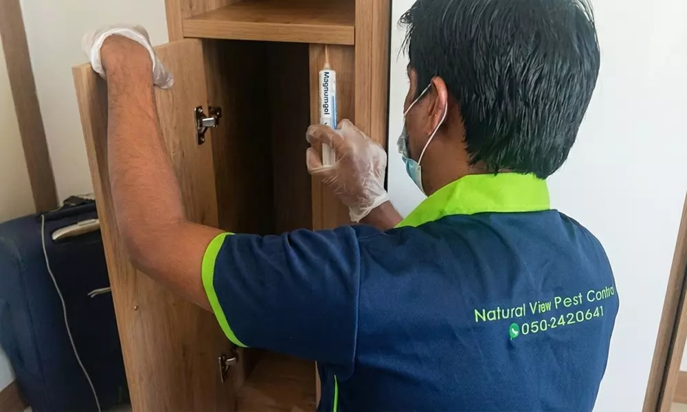 Bedbug or General Pest Control for Studio to 5BHK Homes