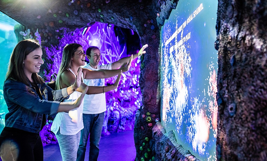 Image 3: Learn About 13,000+ Animals & 14 Themed Zones at Darling Harbour