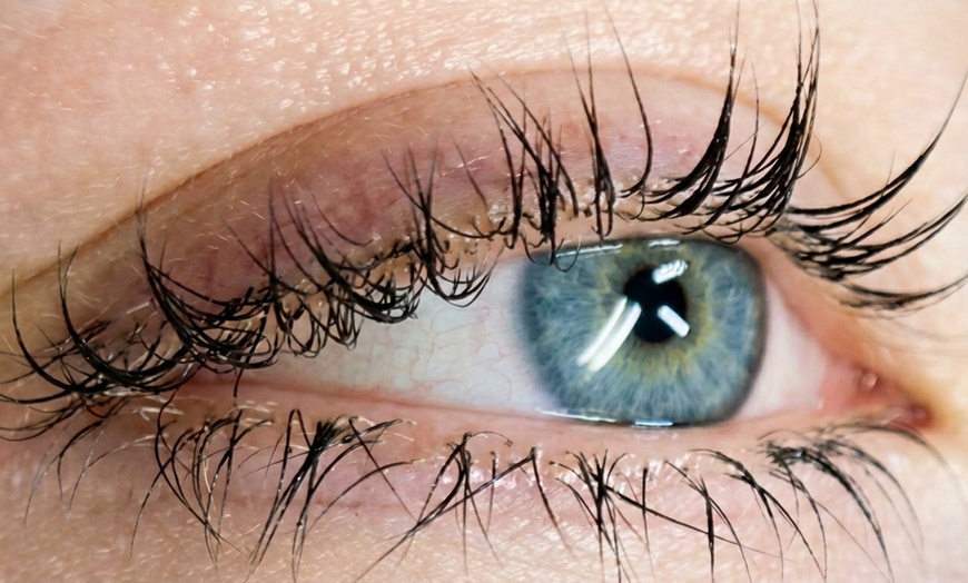 Image 5: One Eyelash Lift Treatment or Lash Perm with Tint