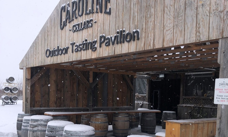 Image 7: Full Day Niagara Wine Tour with Transportation for Up To Four People