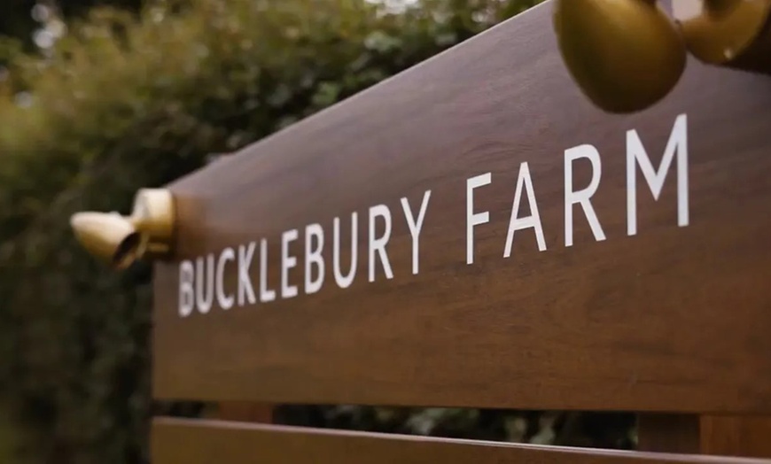 Image 8: Explore Farm Life & Enjoy Soft Play – Perfect Family Day!​