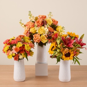 Next Day Farm-Fresh Flowers from The Bouqs Company (Up to 55% Off)
