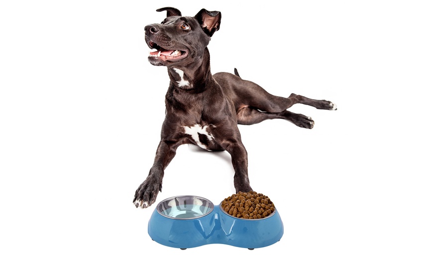 Image 5: Double Pet Bowl