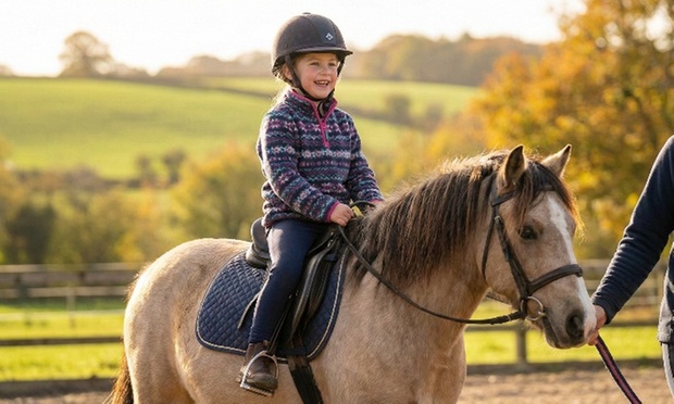 What to expect media