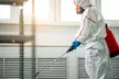 Protect Your Home: Mold Inspection or $250 Towards Removal Services At New York Mold Specialist (Up to 46%Off) - Second Medium