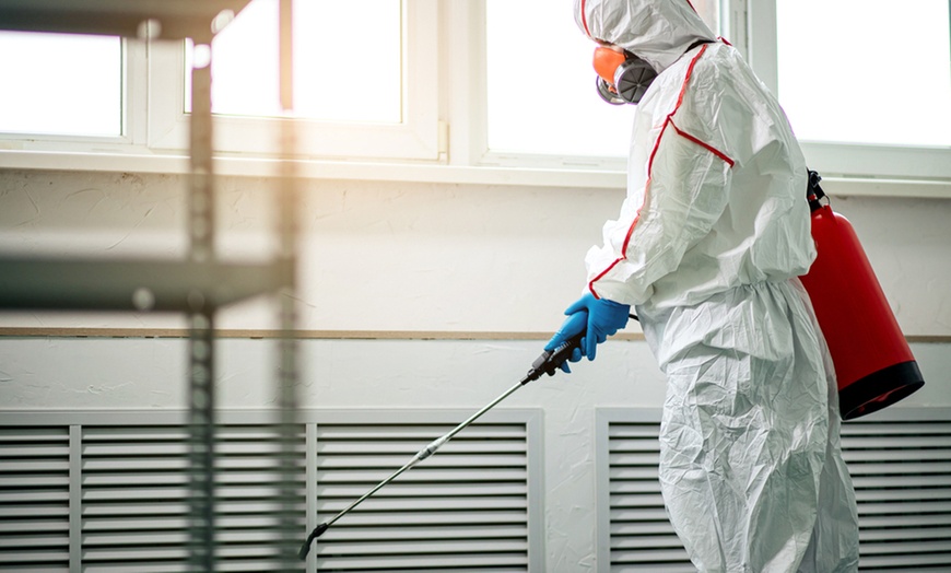 Image 3: Protect Your Home: Mold Inspection or $250 Towards Removal Services
