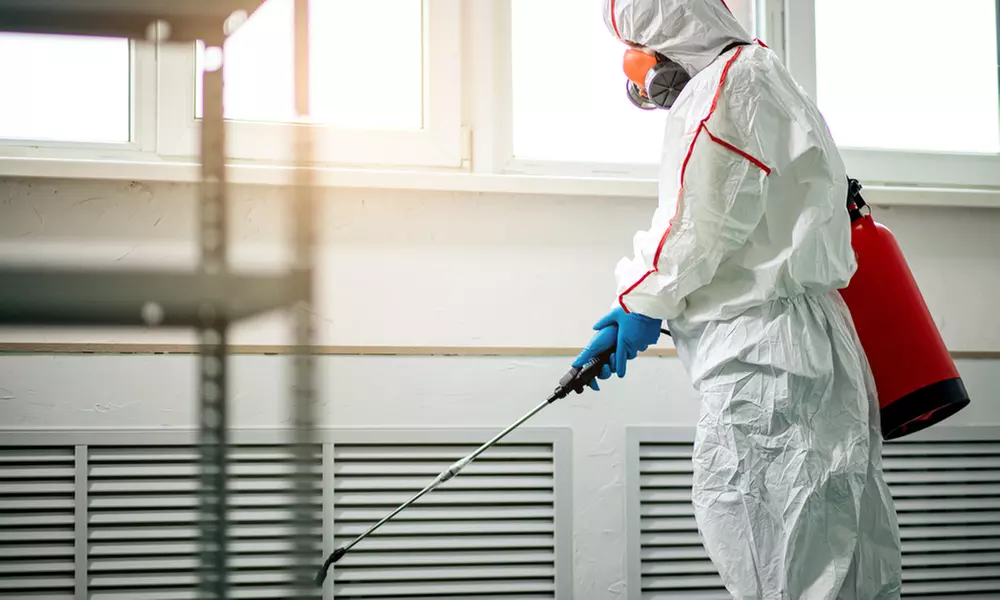 Protect Your Home: Mold Inspection or $250 Towards Removal Services