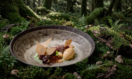 2 people: Native Australian 12-course Menu with a glass of Prosecco each - Nel Restaurant