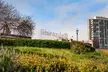 Guided Fisherman’s Wharf & Alcatraz Walking Tour with Optional Tickets for SkyStar Wheel & Bay Cruise - Second Medium