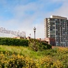 Image 6: Guided Fisherman’s Wharf & Alcatraz Walking Tour