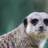 Image 9: Balade nature et biodiversité à deux pas de Paris