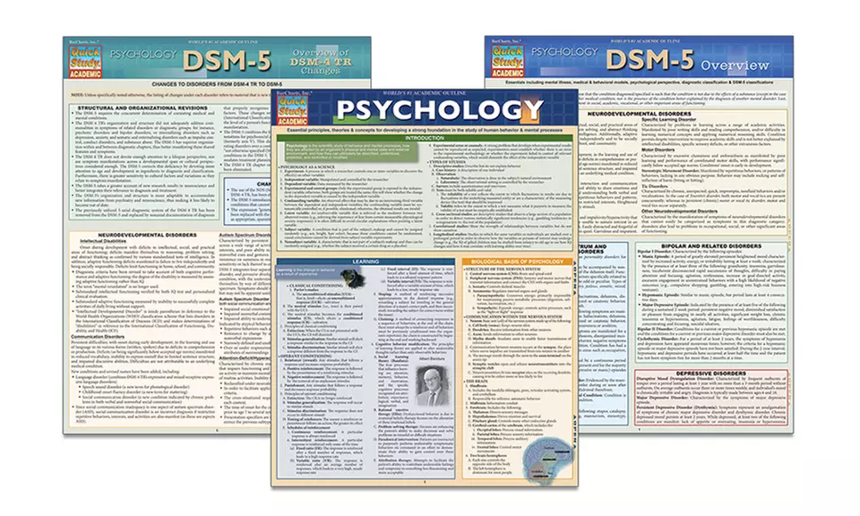 Psychology Cheat Sheet Bundle - Primary Image