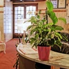 Image 8: Pyrénées : chambre double Supérieure avec pdj, dîner et cocktail