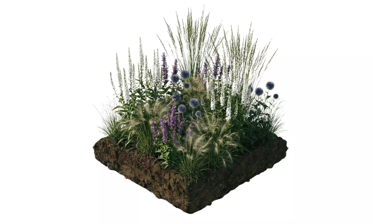 NatureNest borderplantenpakket Isa