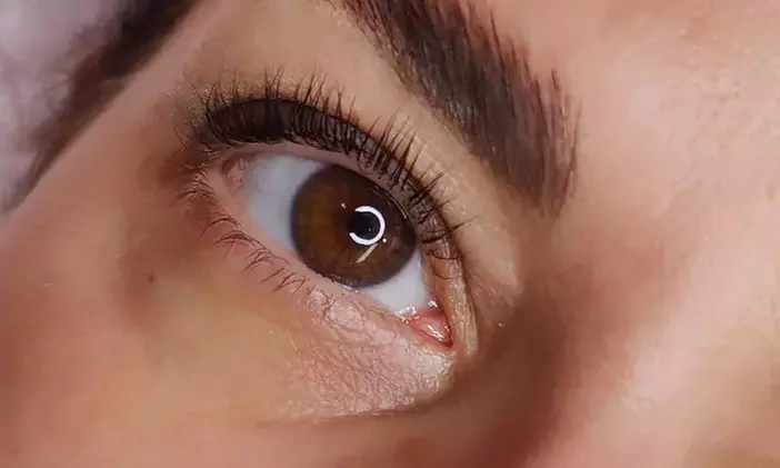 Transform Your Lashes with One Eyelash Lift Treatment with Optional Tinting ( Up to 55% Off ) - Primary Image