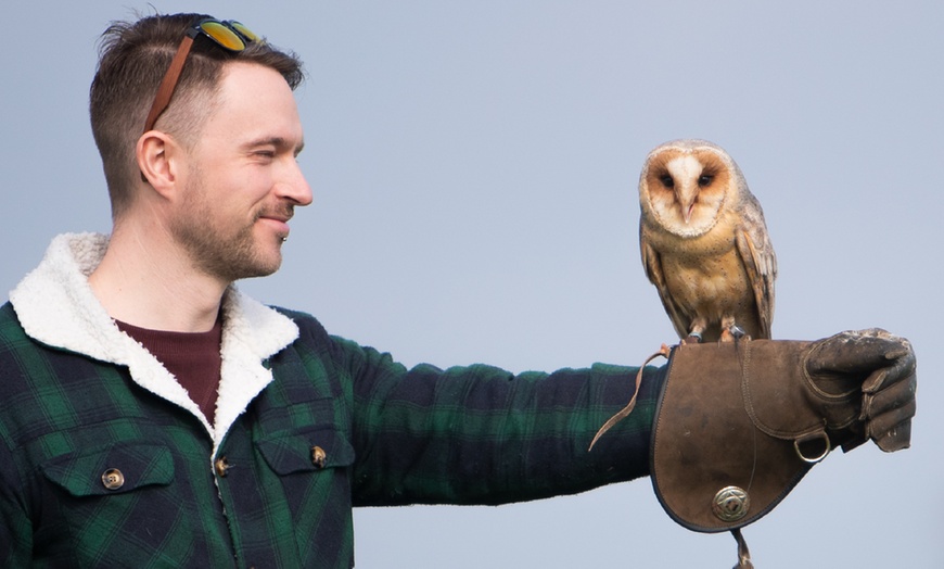 Image 7: Experience the Thrill: Two-Hour Birds of Prey Adventure for 1, 2, or 4