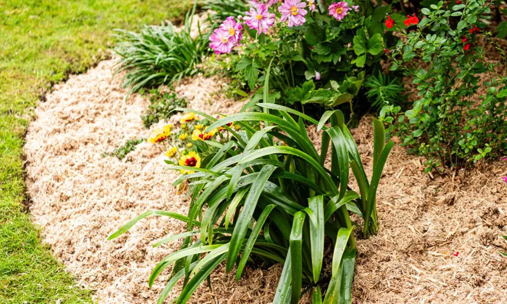 INCREDi Mulch Plus Wood Fibre Mulch with Slow-Release Feed 10L or 50L