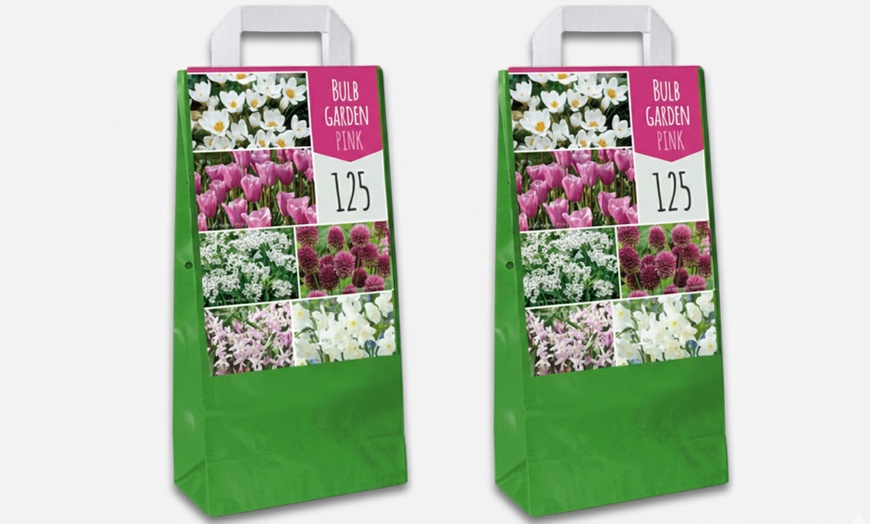 Image 12: 125 o 250 mix di bulbi colorati