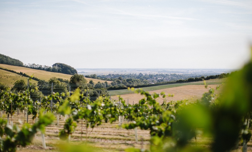 Image 5: East Riding, Yorkshire: One Night Stay with Breakfast & Vineyard Package 