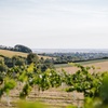 Image 5: East Riding, Yorkshire: One Night Stay with Breakfast & Vineyard Package 