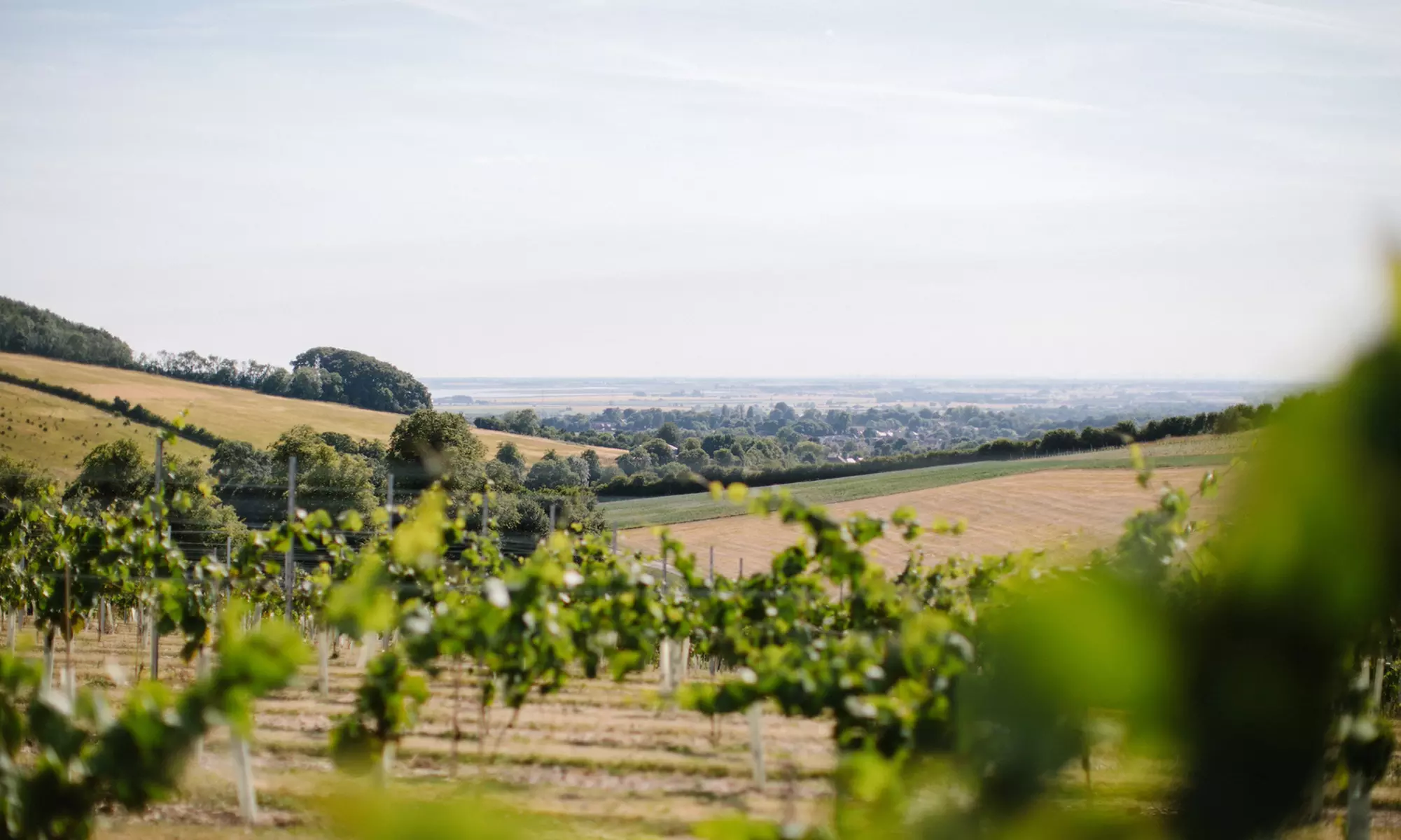 East Riding, Yorkshire: One Night Stay with Breakfast & Vineyard Package