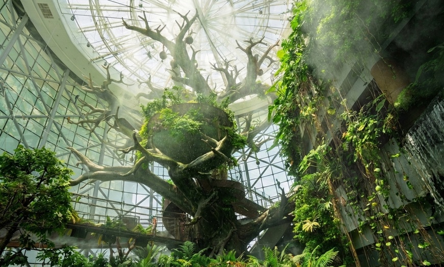 Image 9: The Green Planet Dubai Tickets – Indoor Rainforest Experience
