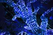 100/200 LED Solar String Lights Outdoor Patio Garden Party Xmas Tree Lighting - Image 2