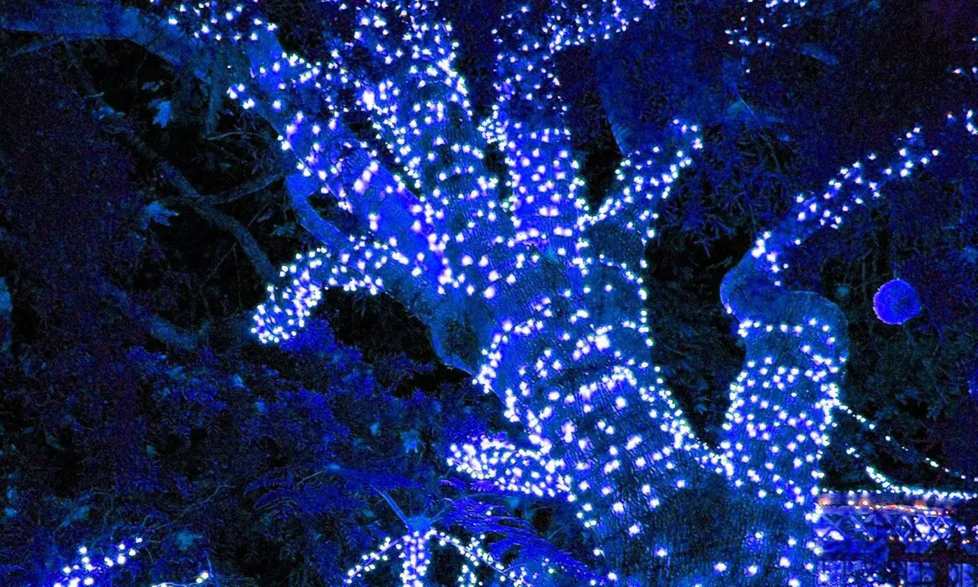 100/200 LED Solar String Lights Outdoor Patio Garden Party Xmas Tree Lighting