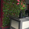 Image 6: Up to 49% Off on Eyelash Tinting at Pixie sugar wax 