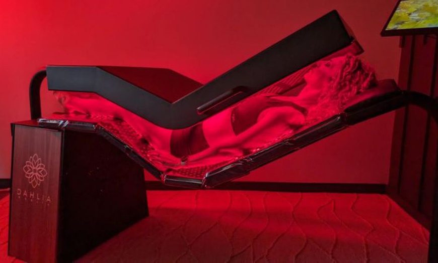 Image 2: One, Three or Five Sessions of 30-Min Dhalia Infrared Therapy
