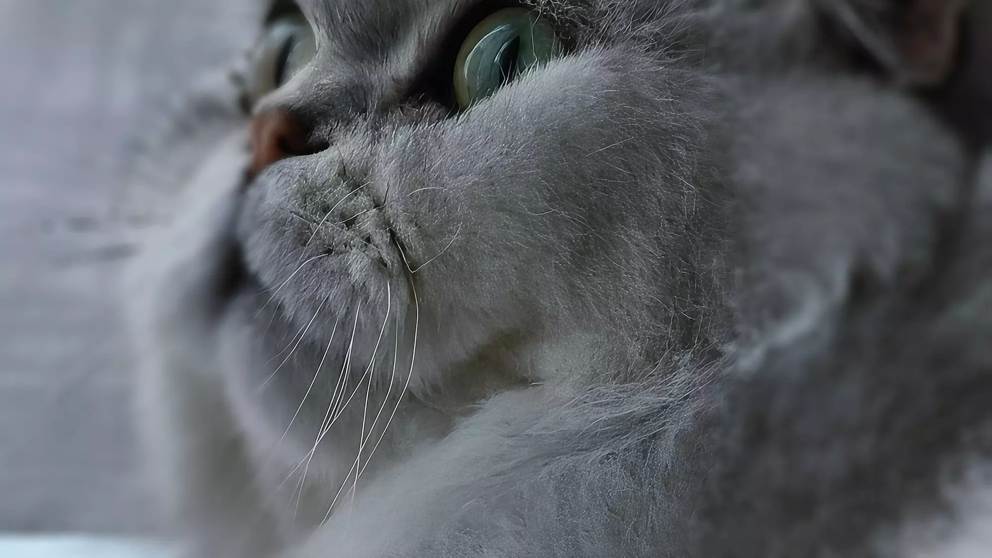 Cat Cafe! 90-Minutes Cat Lounge Entry & Drink & Freshly Baked Pastry