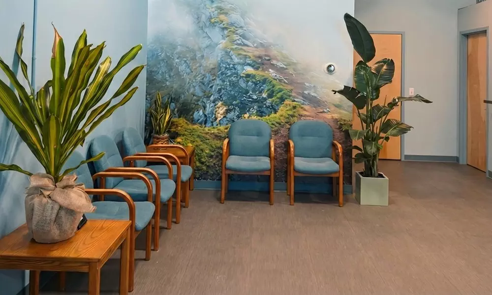 One Session of Cryotherapy, Red Light Therapy, or Infrared Sauna