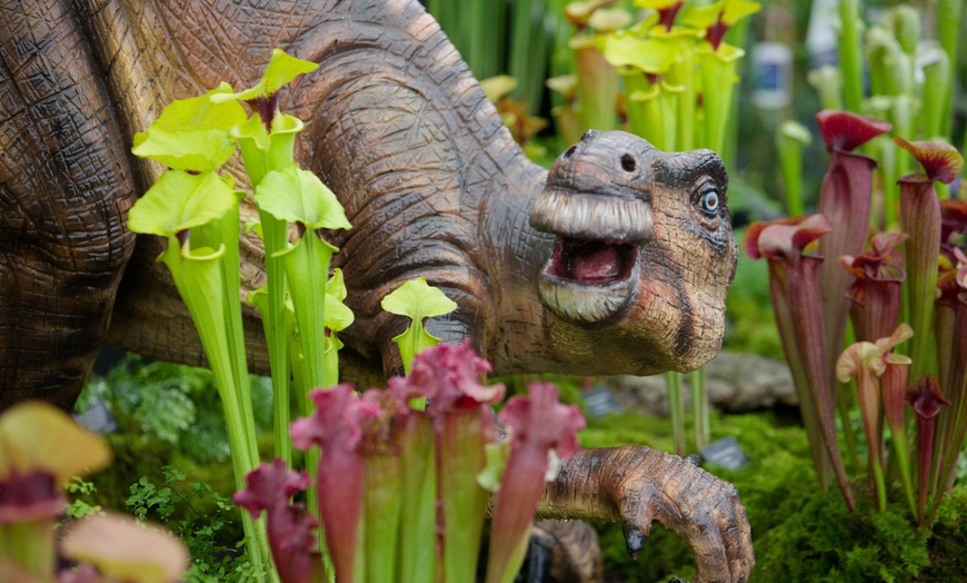 Image 6: BBC Gardeners’ World Live | June 12, 13, and 15, 2025 