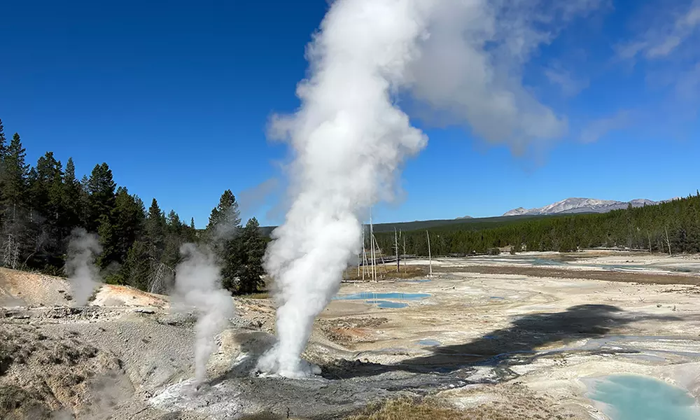 Explore Yellowstone's Full Day Tour with Lunch