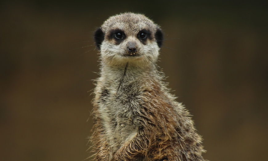 Image 27: Vivre les missions d’un soigneur au Touroparc Zoo