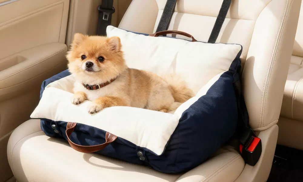 Pawhut Pet Car Seat