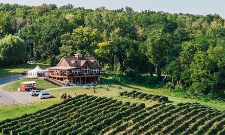 4 Wine Tastings for 1 person (4 pours) - Vineyard View Winery