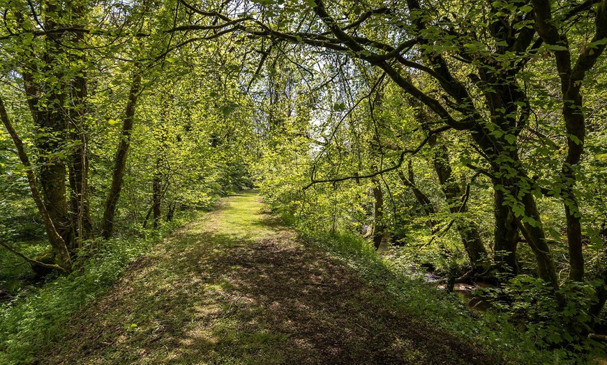 Image 10: Pembrokeshire: Up to Five-Night Cottage Stay