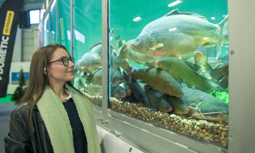 Image 15: Tageskarte für die ANGELWELT 2025 vom 28.11. - 30.11.2025 in Berlin