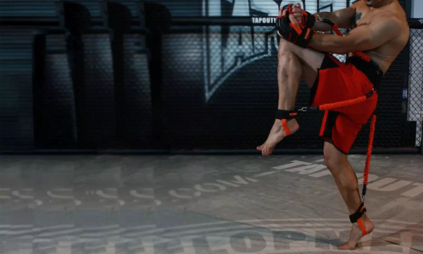 Boxing Bounce Strength Trainers; 15 or 25 lbs