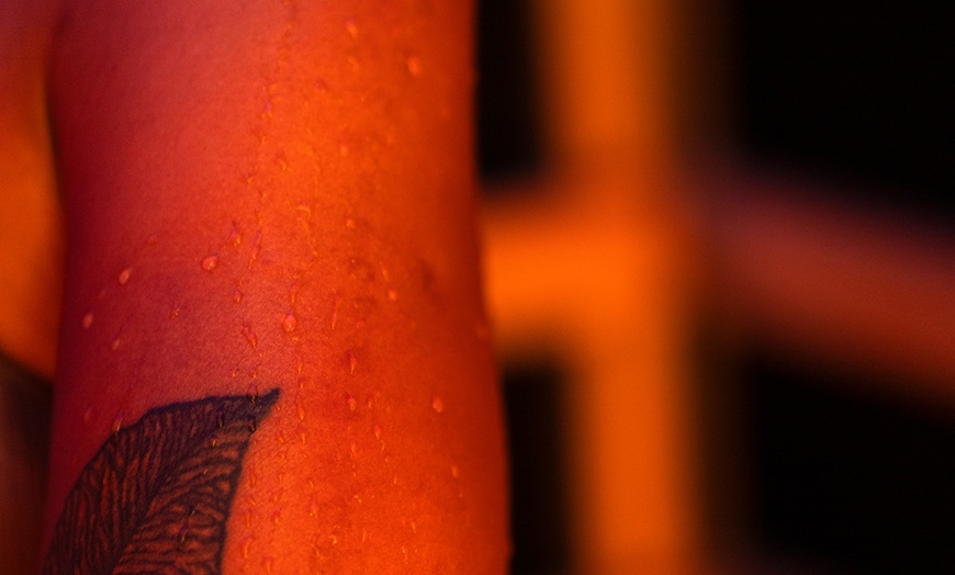 Image 5: Up to 30% Off on Spa - Sauna - Infrared at The Wholeness Pod