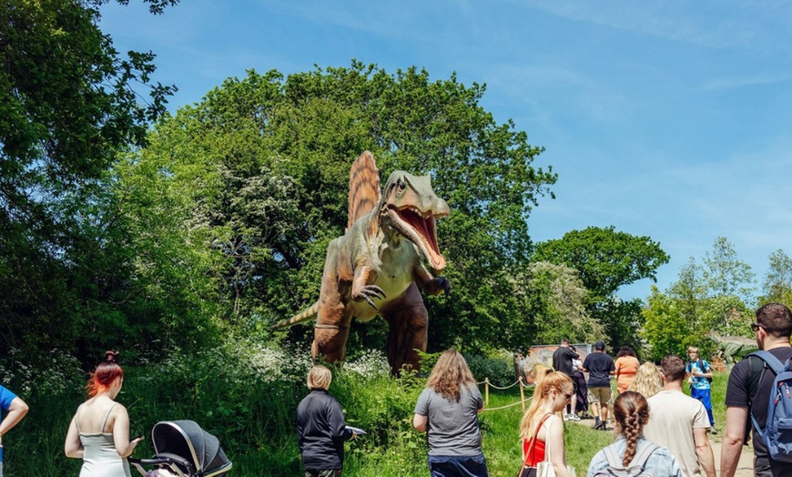 Image 6: Ticket to Dinosaurs In The Park for 2, 3 or 4 (17th May-8th June 2025)