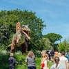 Image 6: Ticket to Dinosaurs In The Park for 2, 3 or 4 (17th May-8th June 2025)