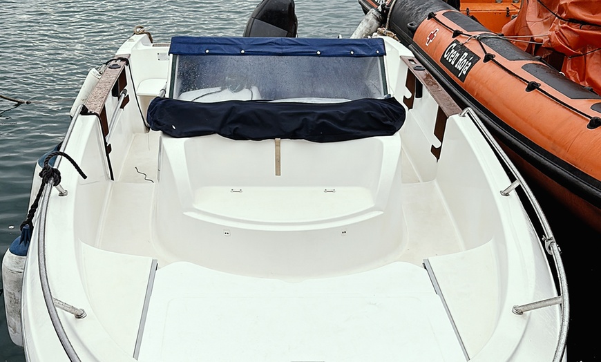 Image 4: Pesca en alta mar con profesional con equipo y opción a comida/bebida 